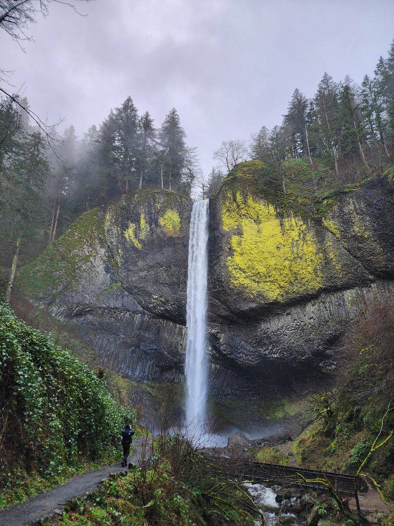 Loop Trail Essentials
