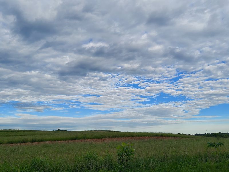 Birdwatching Hotspots