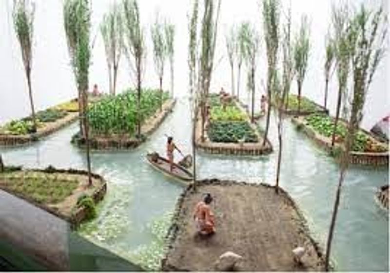 Aztec Chinampas (Mexico)