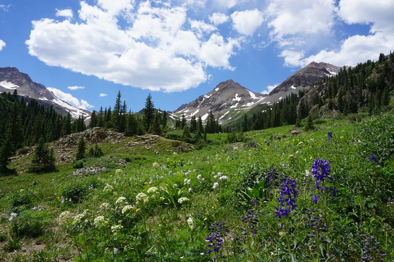 Yankee Boy Basin - Uncompahgre National Forest