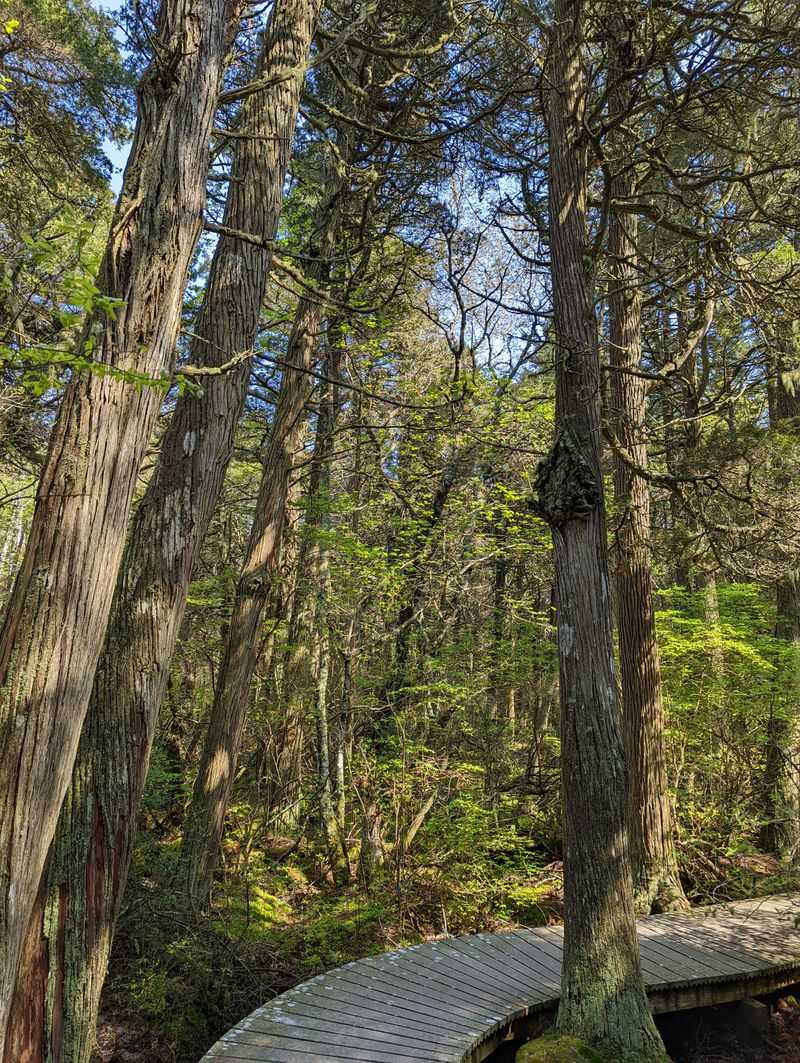 Scenic Views Without the Crowds