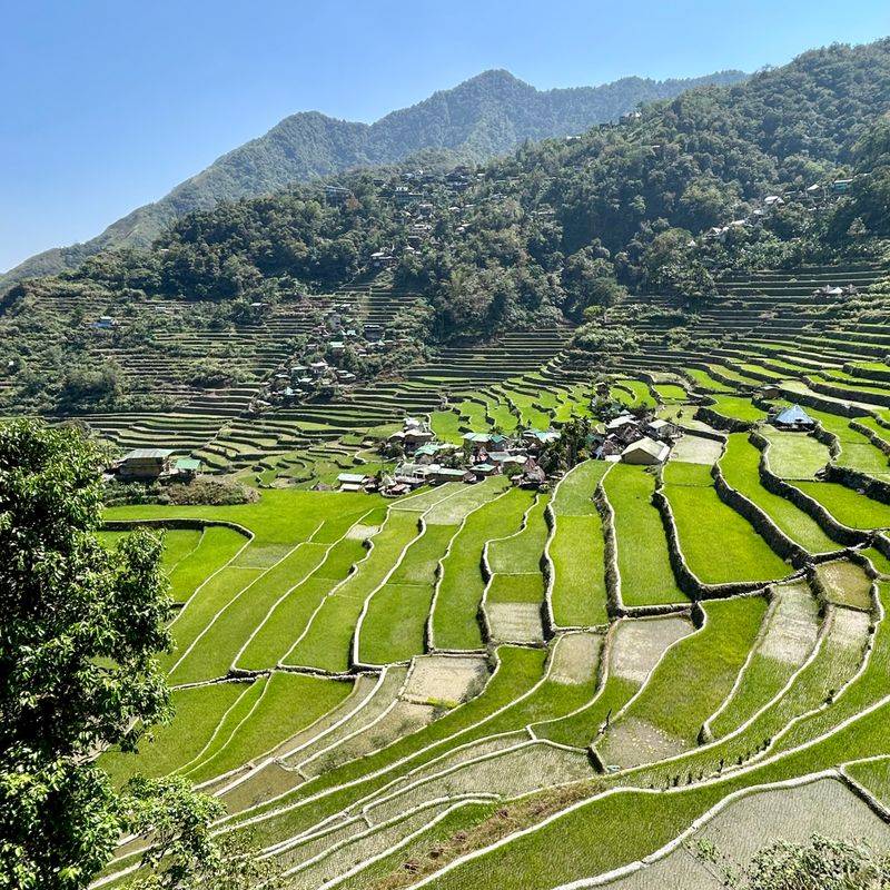 Banaue Rice Terraces — Philippines