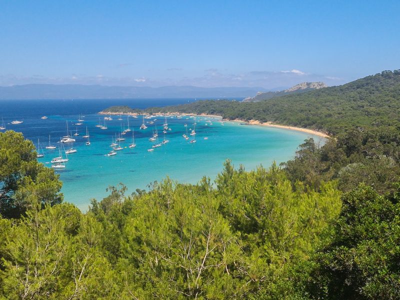 Ile de Porquerolles - Nature Lover's Gem