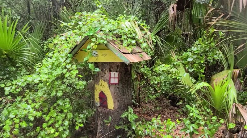 A Blend of Nature and Art