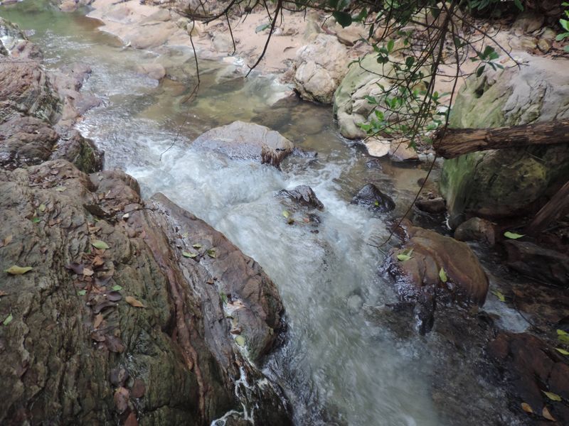 Scientists Are Interested, but Not Confused