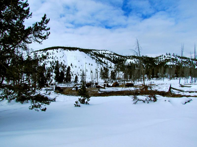 Snowy drives between iconic entrances