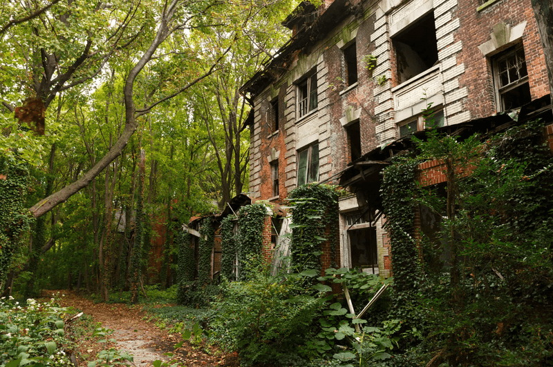 North Brother Island — USA’s Abandoned Sanctuary