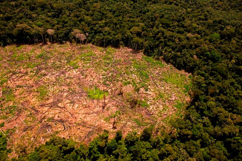 Indigenous Communities Have Known About It for Generations