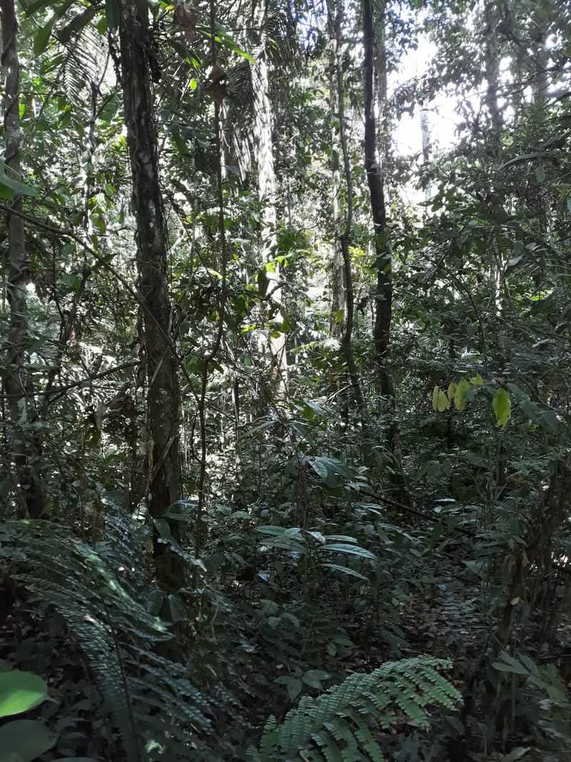 The Area Is Extremely Difficult to Access