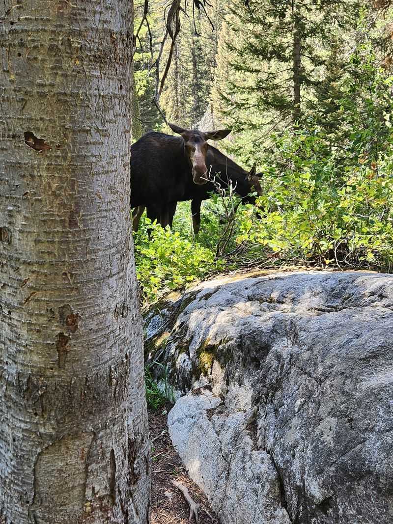 Trail Advice for Hidden Falls