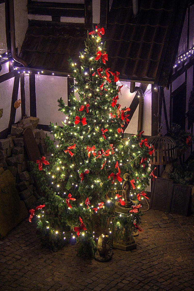 The First Christmas Tree Was in Germany