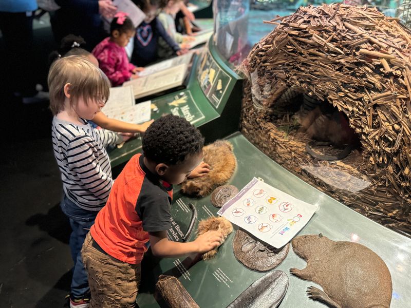 Grand Rapids Public Museum & Carousel