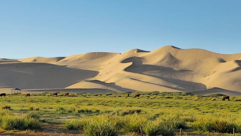 Gobi Gurvansaikhan National Park, Mongolia