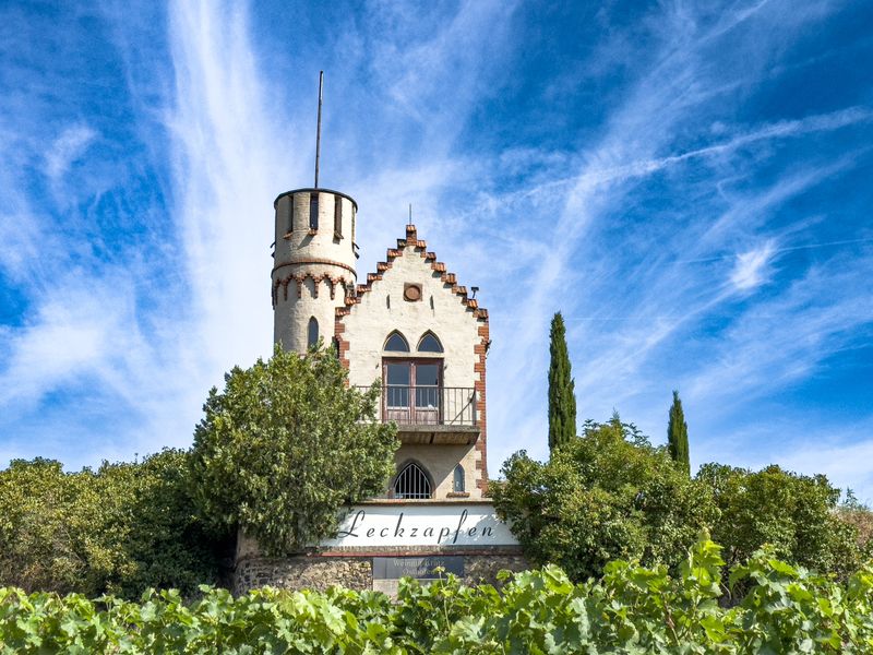 Trier’s Rhine Vineyards & Wine Culture