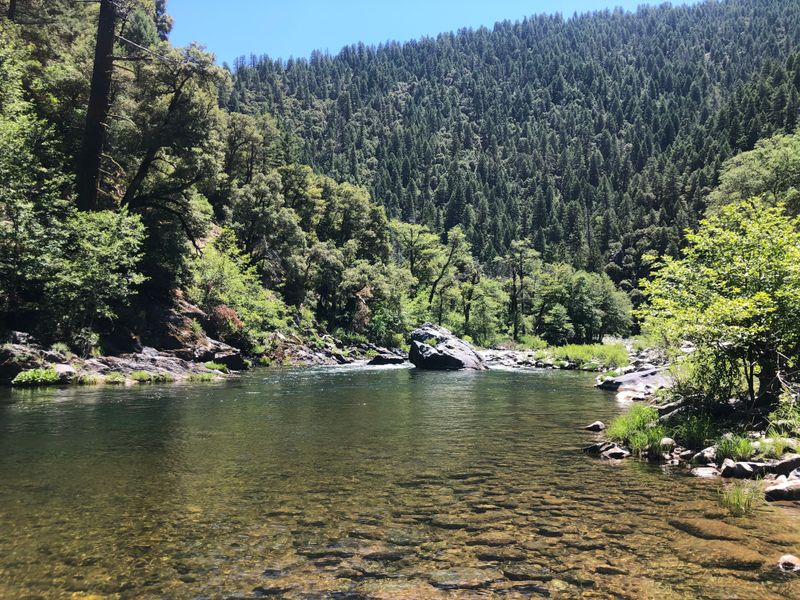 Feather River Fly Fishing