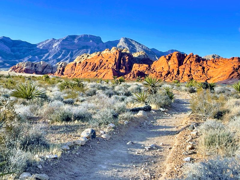 Red Rock Canyon National Conservation Area (13-mile Scenic Drive)