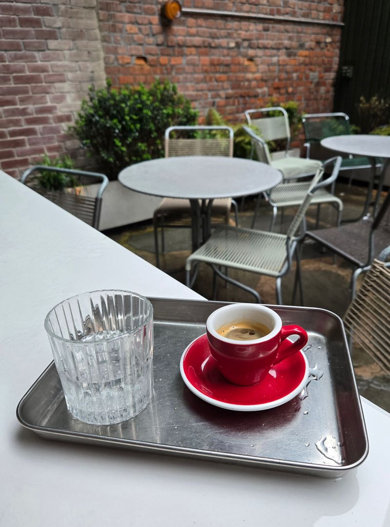 Do Not Feed Alligators