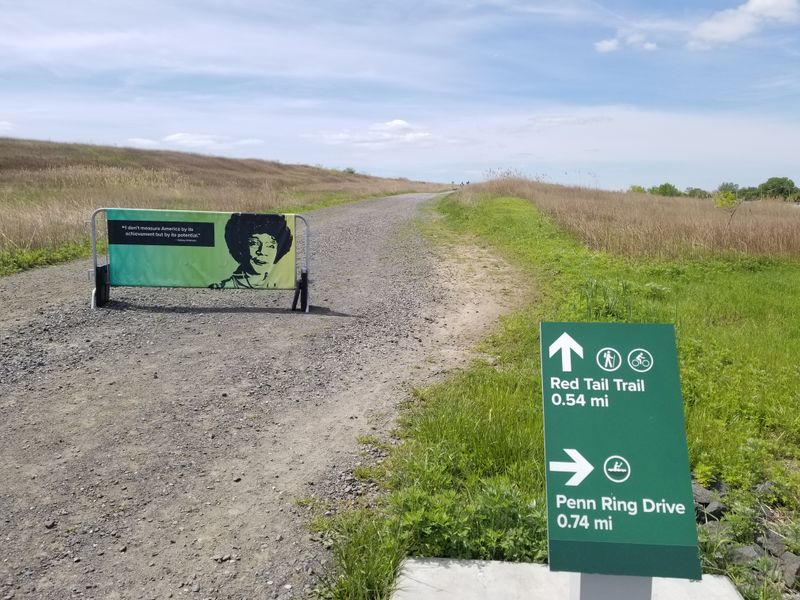 Accessibility and Easy Paths