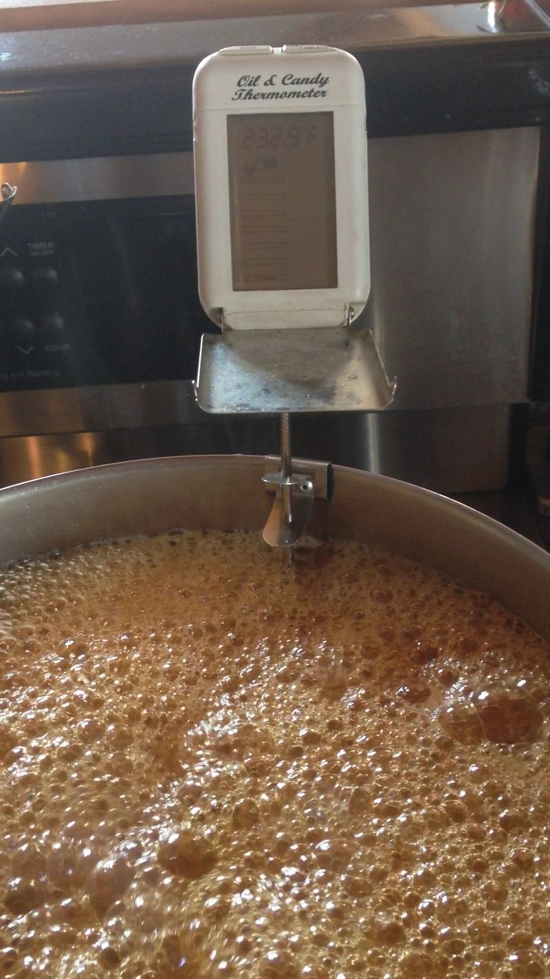 Hot Maple on Snow and Other Classics