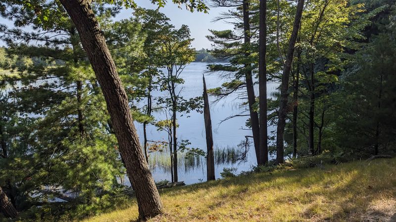 Seasonal Beauty: Spring and Summer