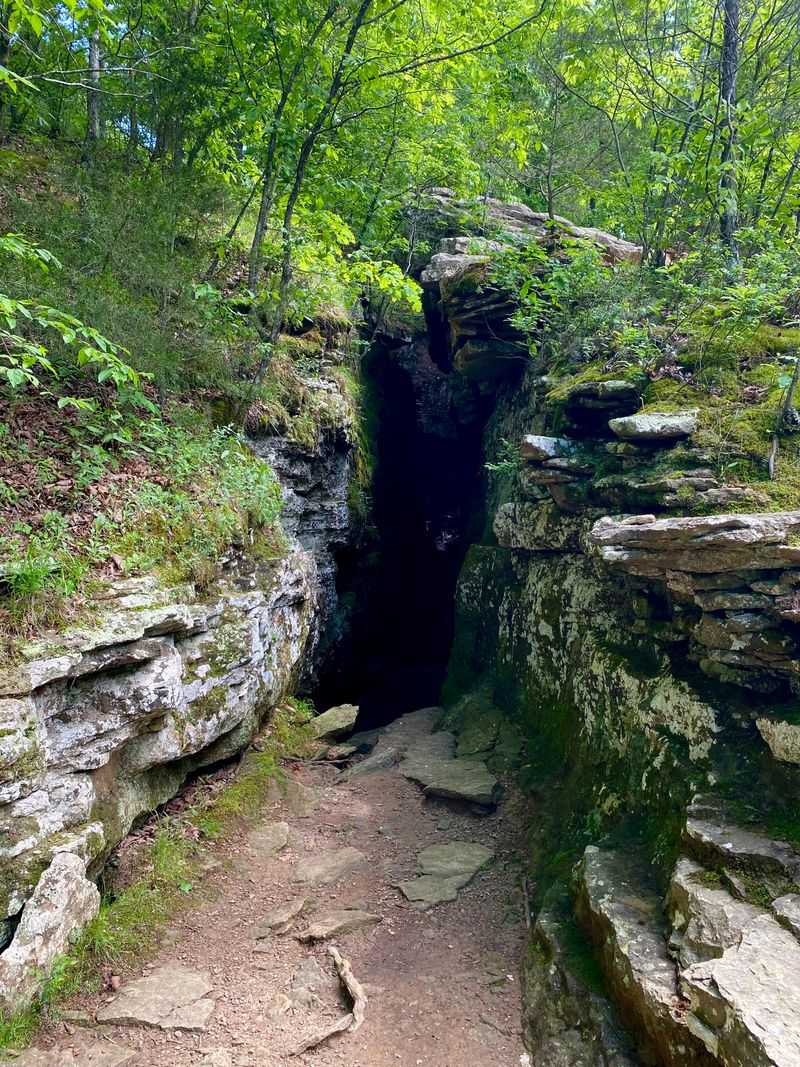 Devil’s Den Cave Area