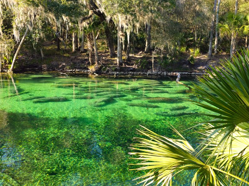 Blue Spring State Park, Florida — the place people associate with manatees
