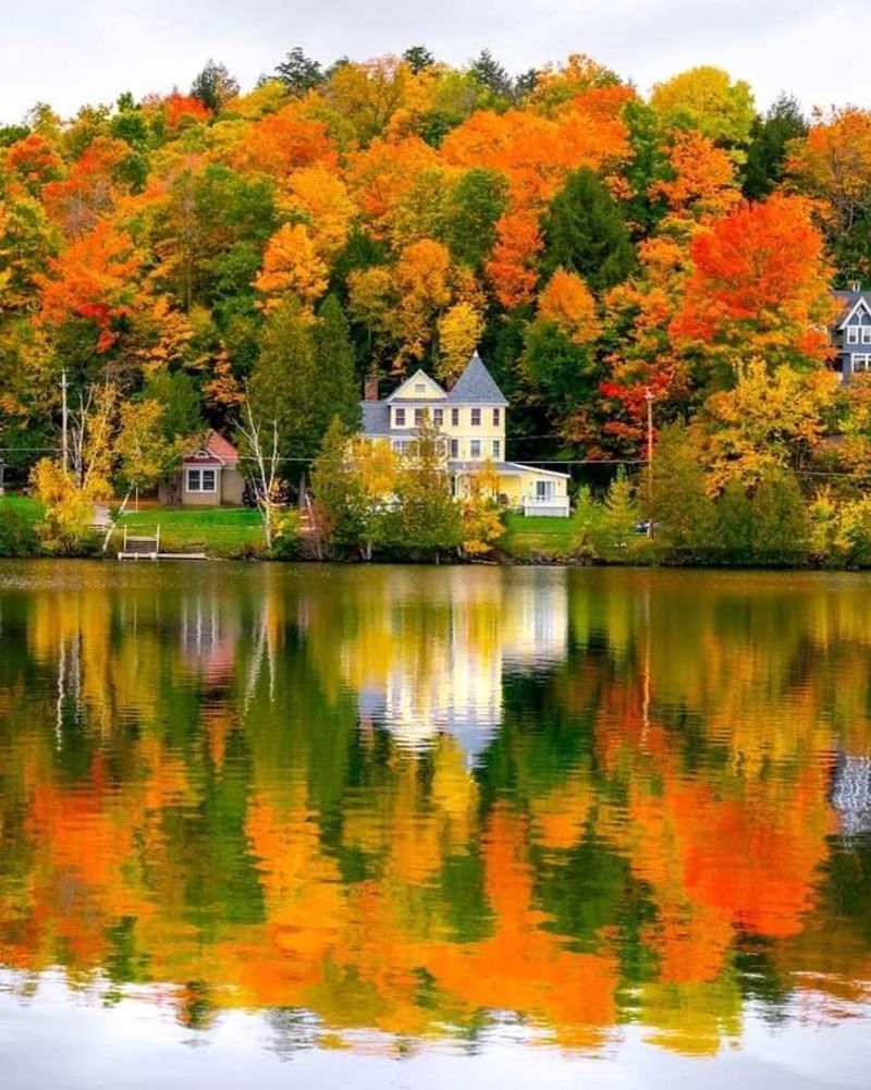 Adirondack Artists Guild Gallery