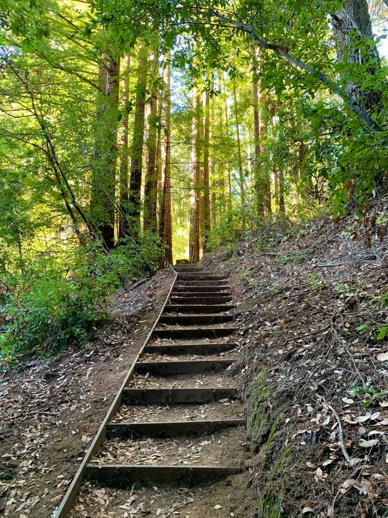 Trails Right in Town