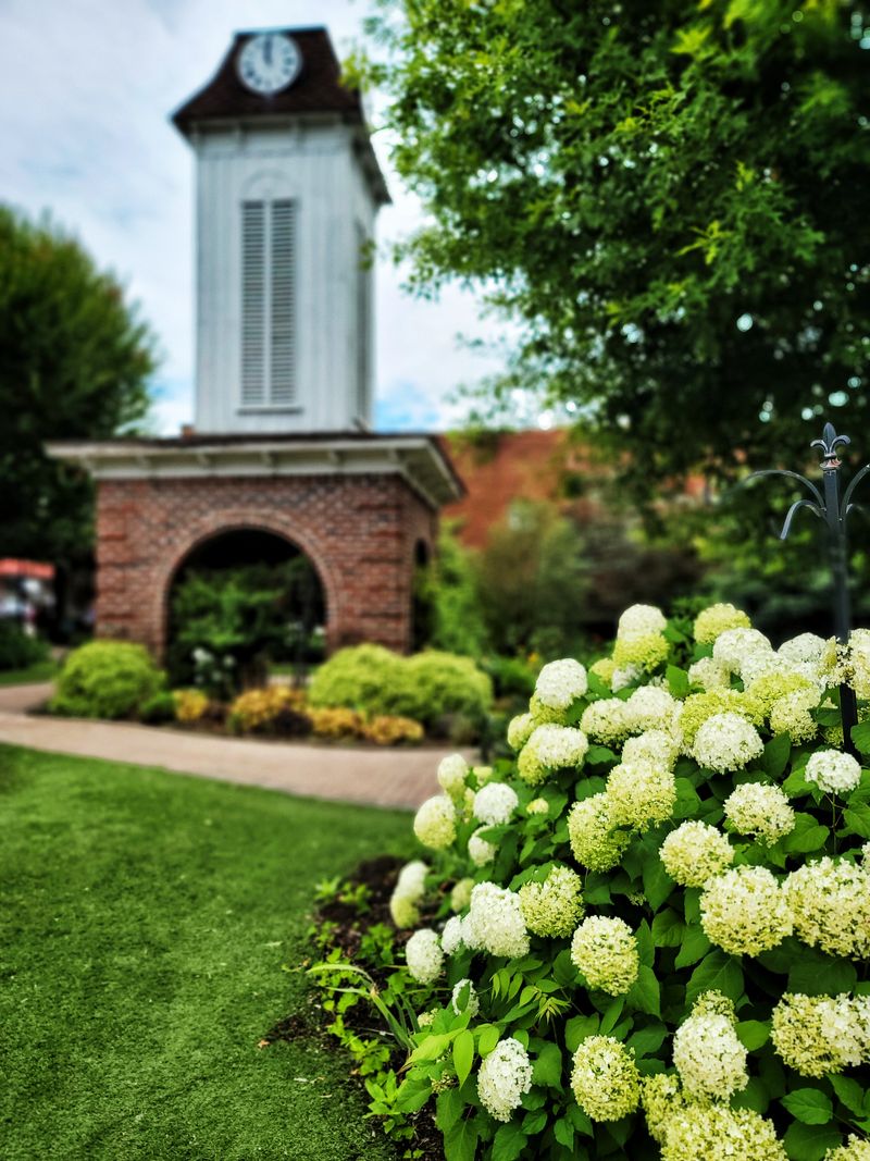 Franklin, North Carolina