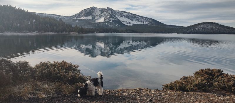 Photography and Night Sky Moments