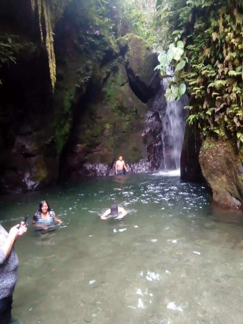 Pacto, Ecuador (Chocó Andino)