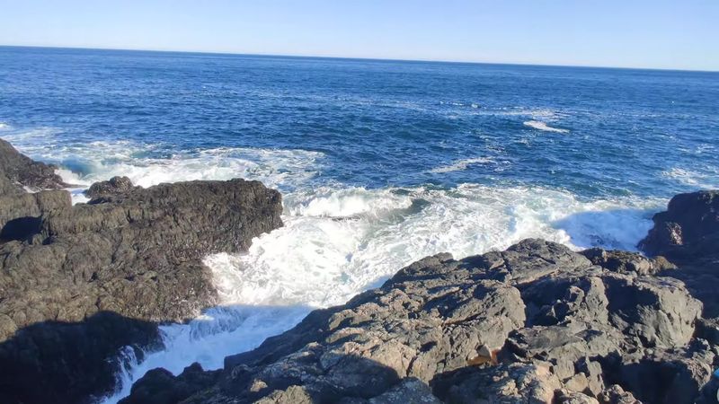 Cobscook Bay State Park