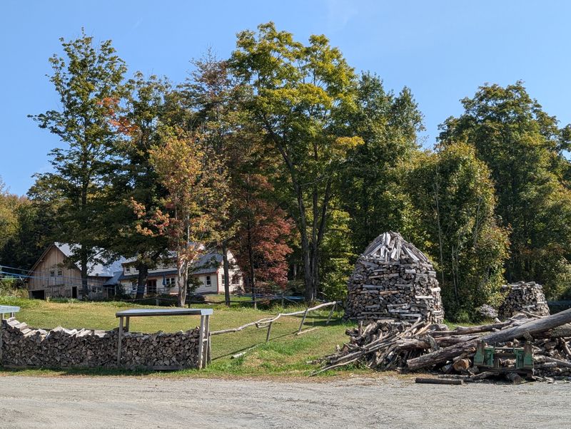 Walking the Sugarbush Edge