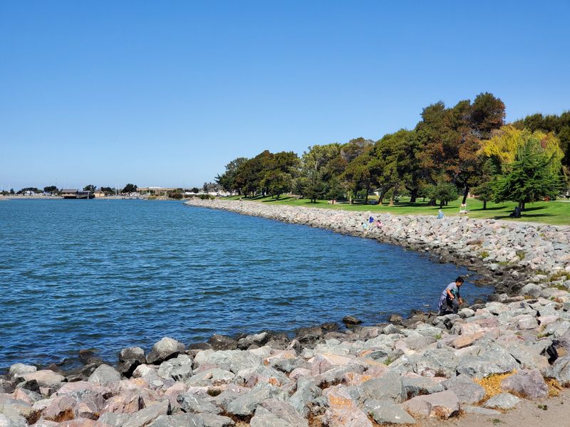 Shoreline Paddle and Kayak Launch