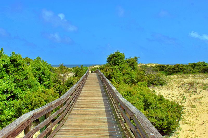 Sea Camp Campground Experience