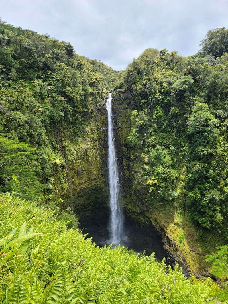 ʻAkaka Falls State Park, Island of Hawaiʻi