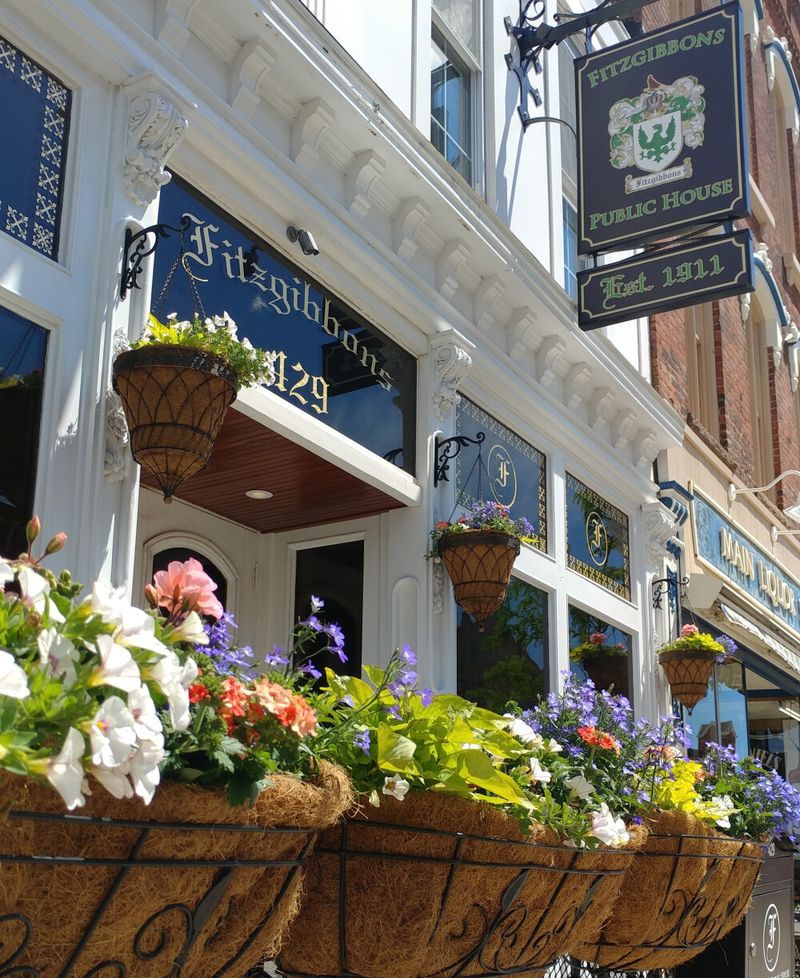 Cider Creek Tasting Counter at Fitzgibbons Public House