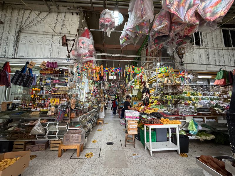 Mexico City, Mexico — Mercado de San Juan & More