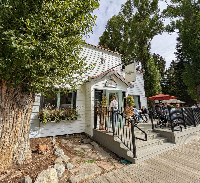 Persephone Bakery – Jackson