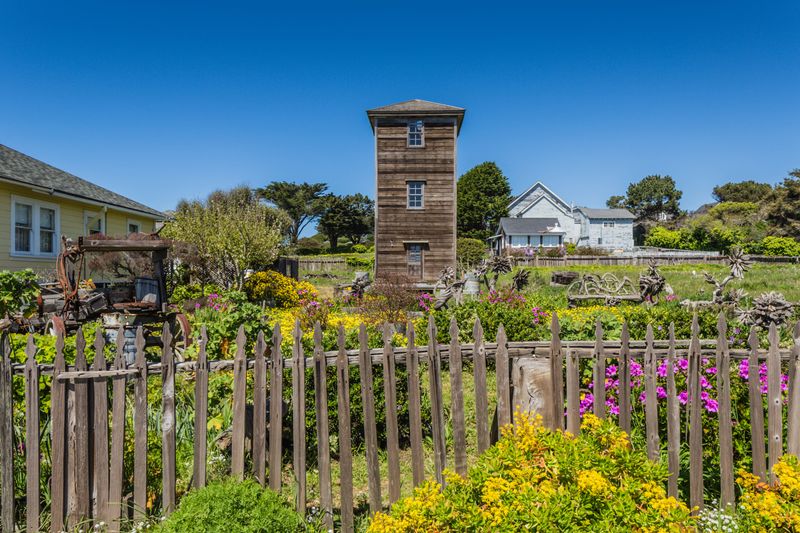 Mendocino Coast Botanical Gardens (nearby)
