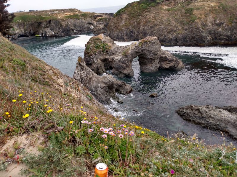 Russian Gulch State Park