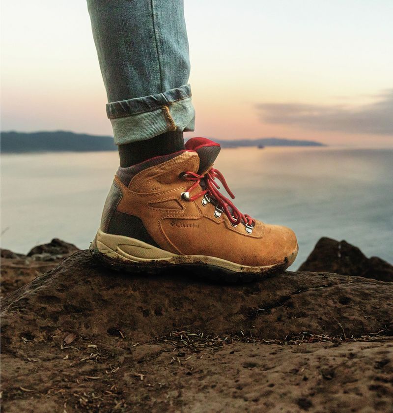 Columbia Newton Ridge Plus Waterproof Amped Hiking Boot