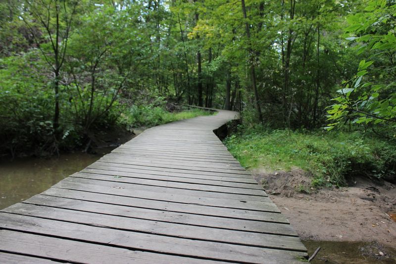Blandford Nature Center & The Highlands