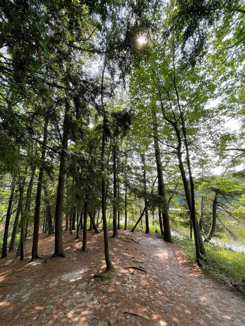 Trailhead Overview and First Steps