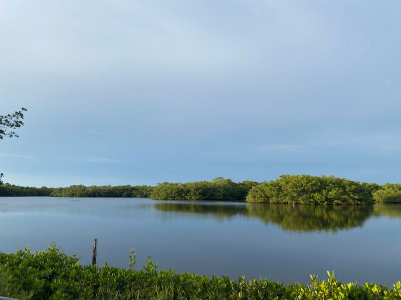 J.N. “Ding” Darling National Wildlife Refuge