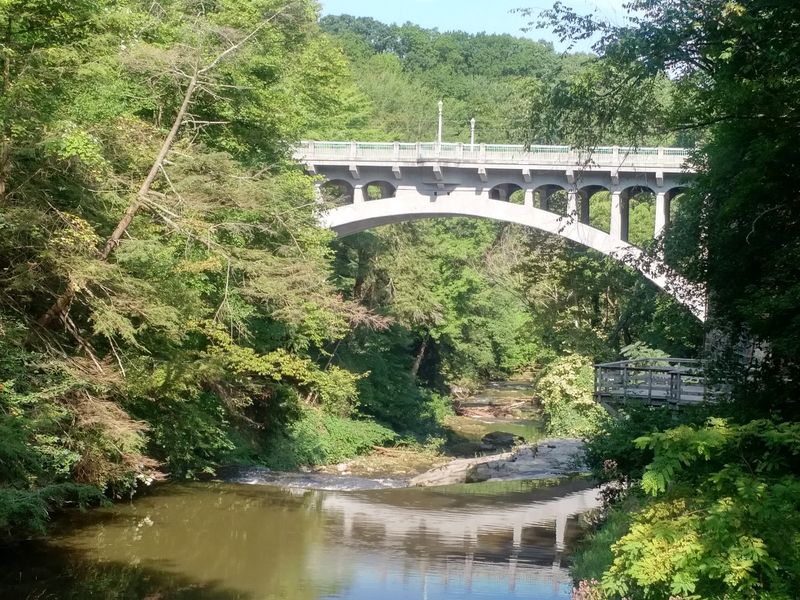 Lanterman’s Mill and Covered Bridge Pause