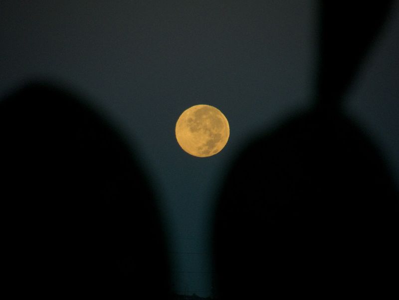 Monday Superstitions