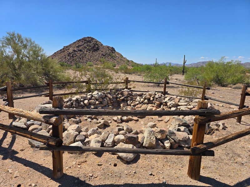 Sonoran Light: Saguaro Silhouettes and City Pulse