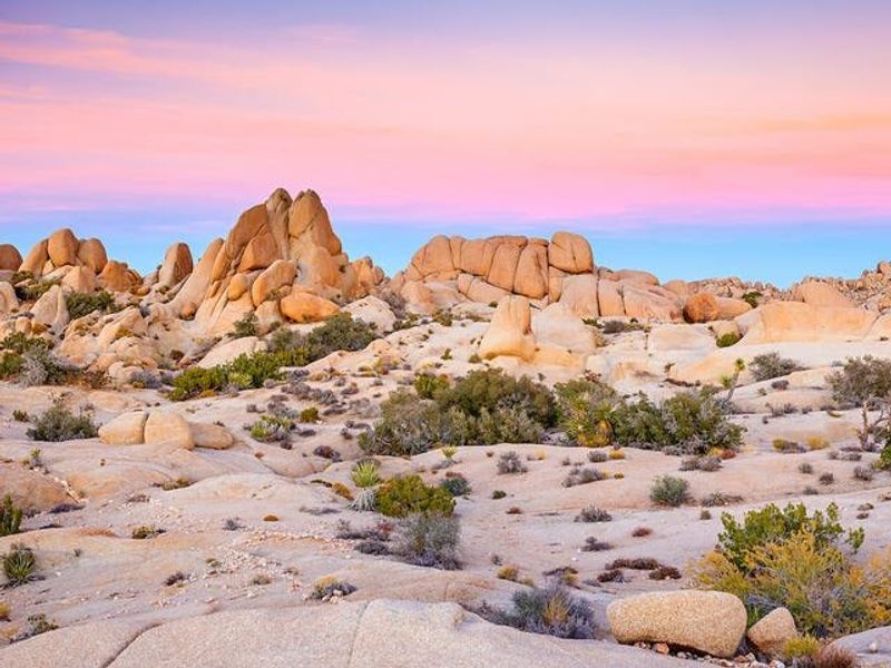 Joshua Tree’s Creative Boom