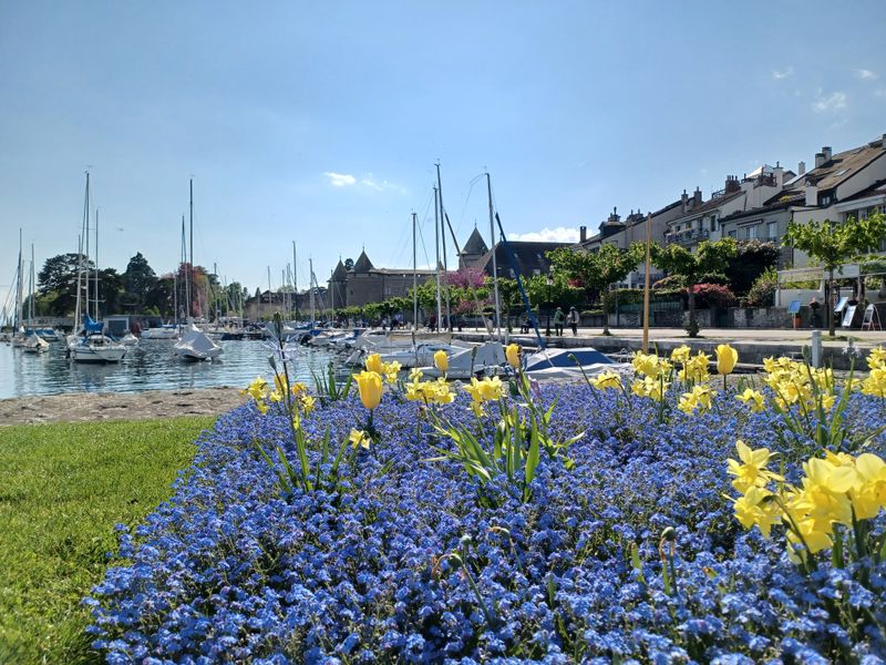 Morges – Flower-Filled Lakeside Town Facing Mont Blanc